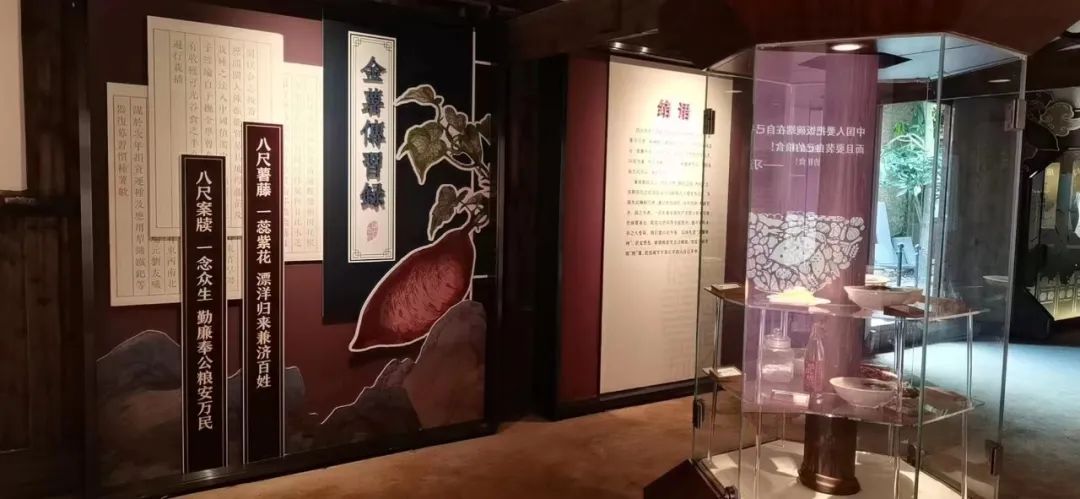 悠悠歲月，一起來聽“番薯引種第一人”的故事