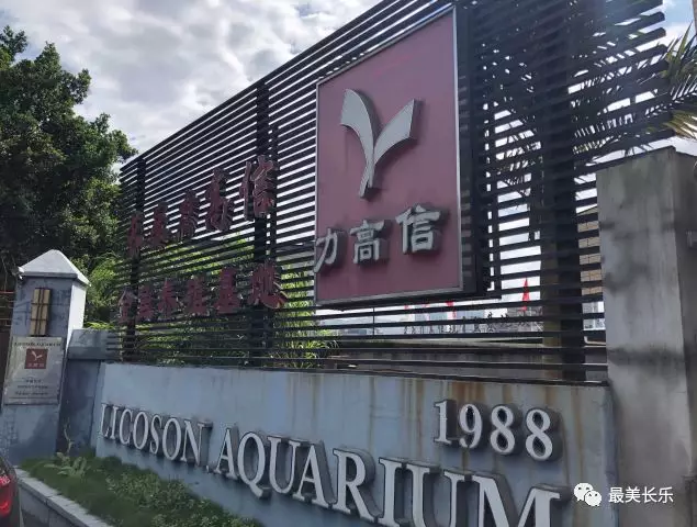力高信：攜手打造長(zhǎng)樂的金魚文化名片