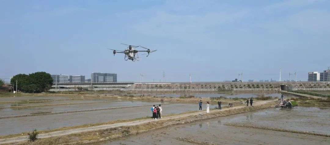 無人機“上崗”！長樂春耕“科技范”拉滿！
