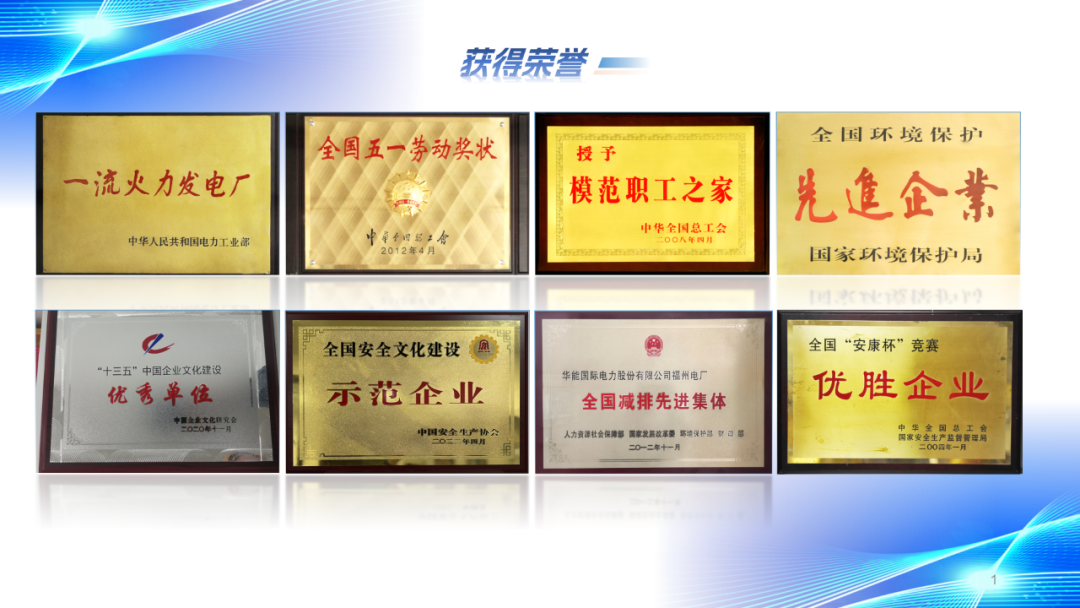 全國榮譽拿到手軟！15年背后的秘訣竟是……