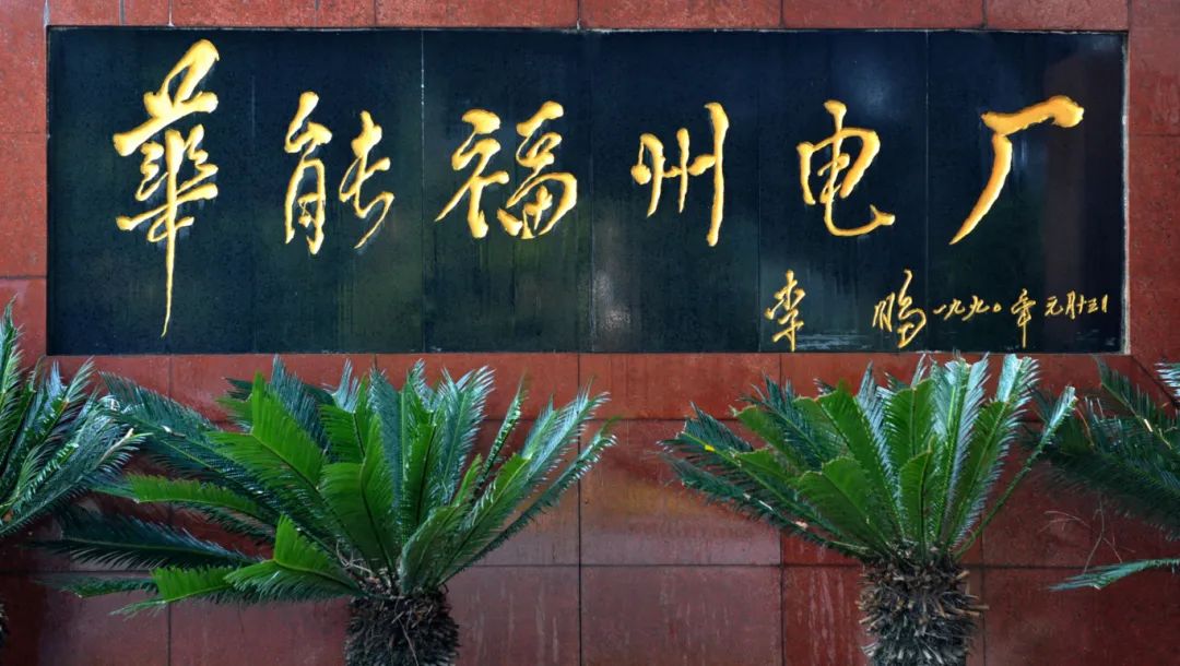 全國榮譽拿到手軟！15年背后的秘訣竟是……