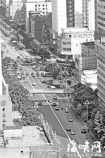 因地鐵建設(shè)移走240棵樹 福州樹兜復(fù)綠僅百個樹池