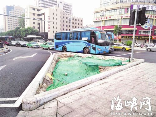 華林路綠化方案優(yōu)化：加密樹池　選種大冠幅樹種