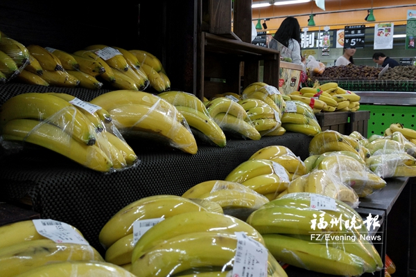 多省份香蕉同時(shí)上市 榕香蕉零售價(jià)低至1元/500克
