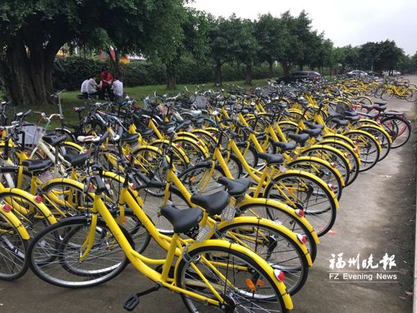 “ofo共享單車”拷問大學(xué)生誠(chéng)信 不少人私藏車輛