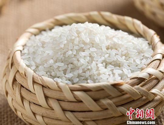 圖為浙大研究團(tuán)隊(duì)研發(fā)的貝貝鋅米。　中澤 攝