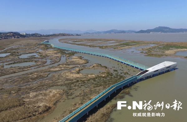 閩江口濕地建成水鳥巡護(hù)步道　全長可達(dá)700多米