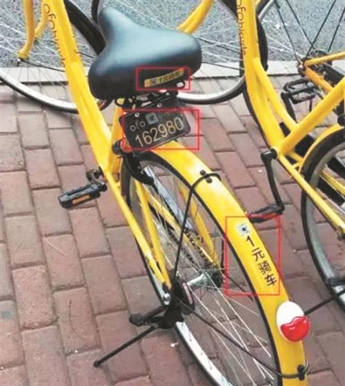 共享單車又一巨頭ofo進入泉州　市區(qū)“四車并行”