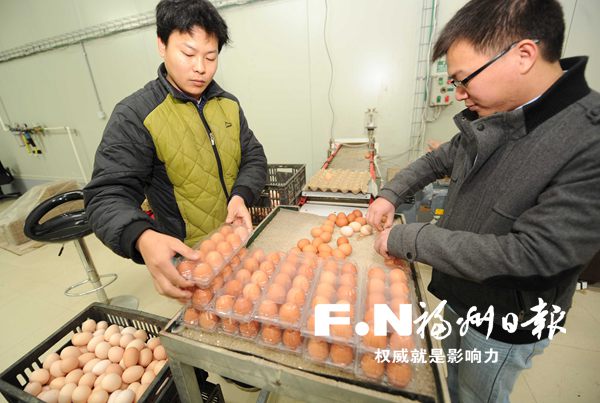 “無抗蛋”平價進社區(qū)　推廣無添加無污染農(nóng)產(chǎn)品