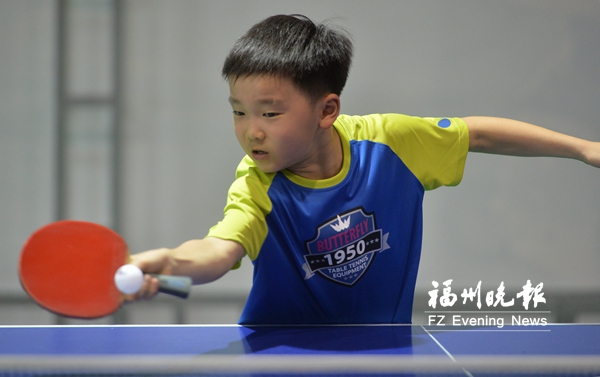 福州市小學(xué)生乒乓球賽　329名選手打近800場比賽