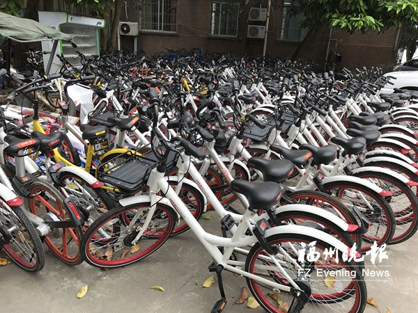 200多輛亂停放共享單車被暫扣 單車公司無人認(rèn)領(lǐng)