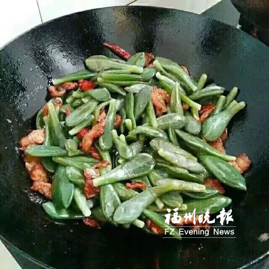 多肉植物炒著拌著蘸著都能吃？　專家：小心中毒