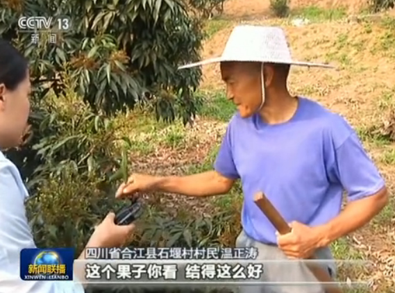 【砥礪奮進的五年·扶貧蹲點日記】石堰村：產(chǎn)業(yè)促增收 脫貧路上幸福多