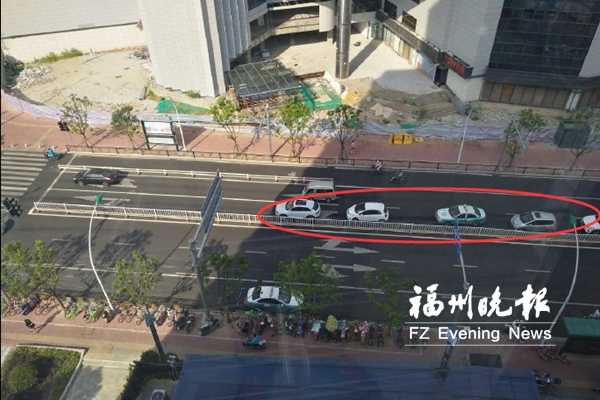 烈日下有些車躲陰涼處等紅燈 “任性乘涼”或挨罰