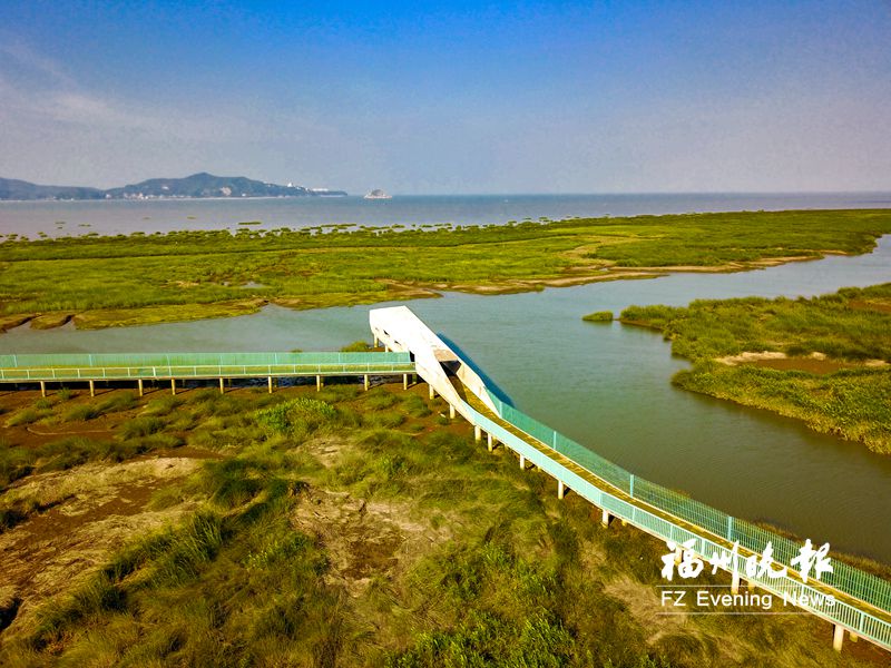閩江河口濕地堅(jiān)持綠色發(fā)展理念 守住生態(tài)保護(hù)底線