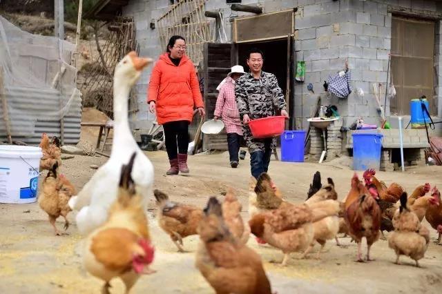 十九大報(bào)告首次提出的這一戰(zhàn)略，與6億人密切相關(guān)