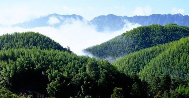 【向總書記報告】一位生態(tài)“優(yōu)等生”的探索