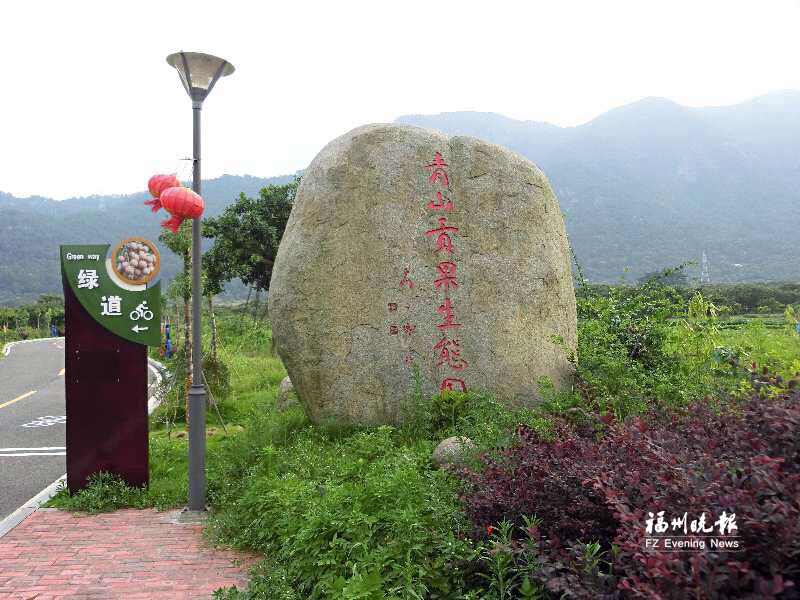 長樂青山村走出黨建帶動(dòng)農(nóng)村發(fā)展特色路　小龍眼做出大產(chǎn)業(yè)