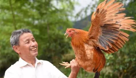 【向總書記報告】一位生態(tài)“優(yōu)等生”的探索