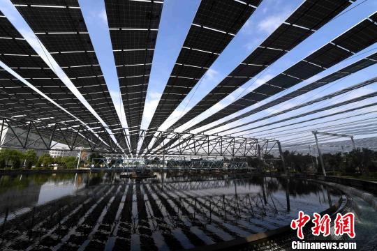福建石獅：污水廠架設(shè)萬(wàn)余太陽(yáng)能電池板如“黑浪”