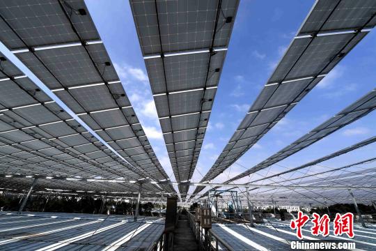 福建石獅：污水廠架設(shè)萬(wàn)余太陽(yáng)能電池板如“黑浪”