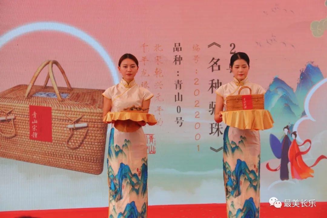 改革動態(tài)|“成績單”來了！看長樂鄉(xiāng)村這十年如何“美顏”