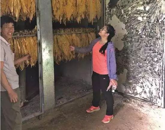她將年輕的生命奉獻(xiàn)在了扶貧道路上——廣西失聯(lián)駐村第一書記確認(rèn)遇難