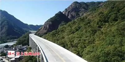 心疼！5天連軸轉(zhuǎn)，福州這只“老貓”倒下了…… 