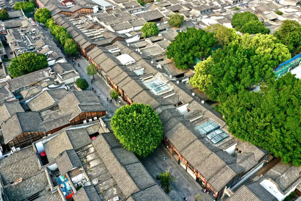 閩山閩水物華新——習(xí)近平總書記福建考察回訪記