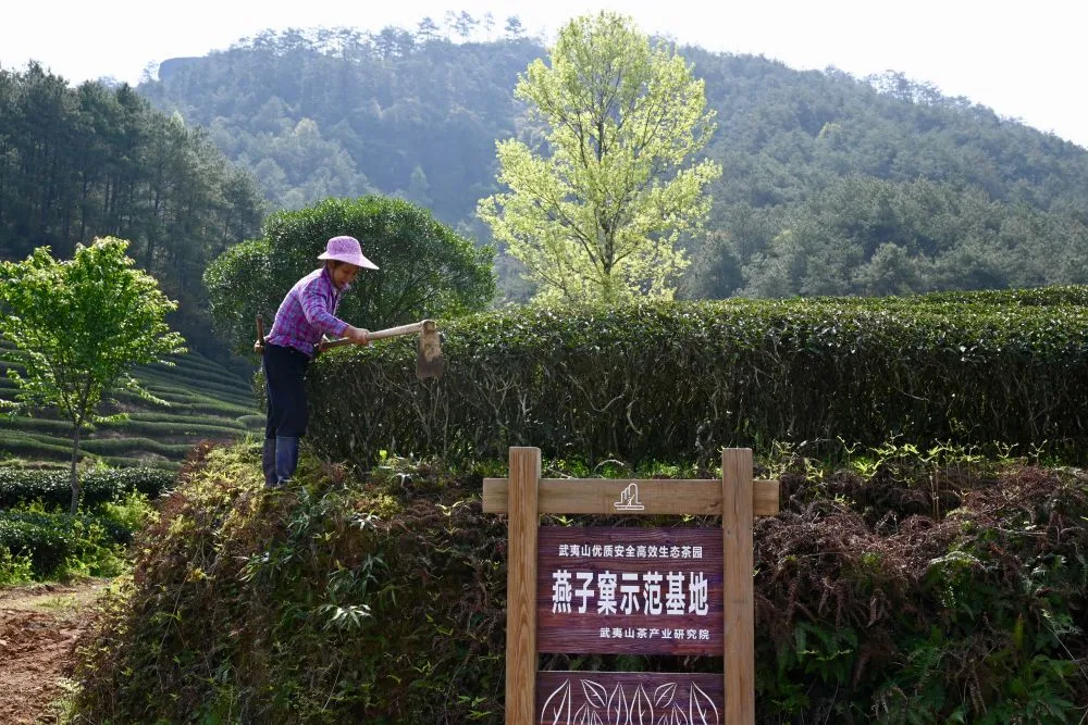 閩山閩水物華新——習(xí)近平總書記福建考察回訪記