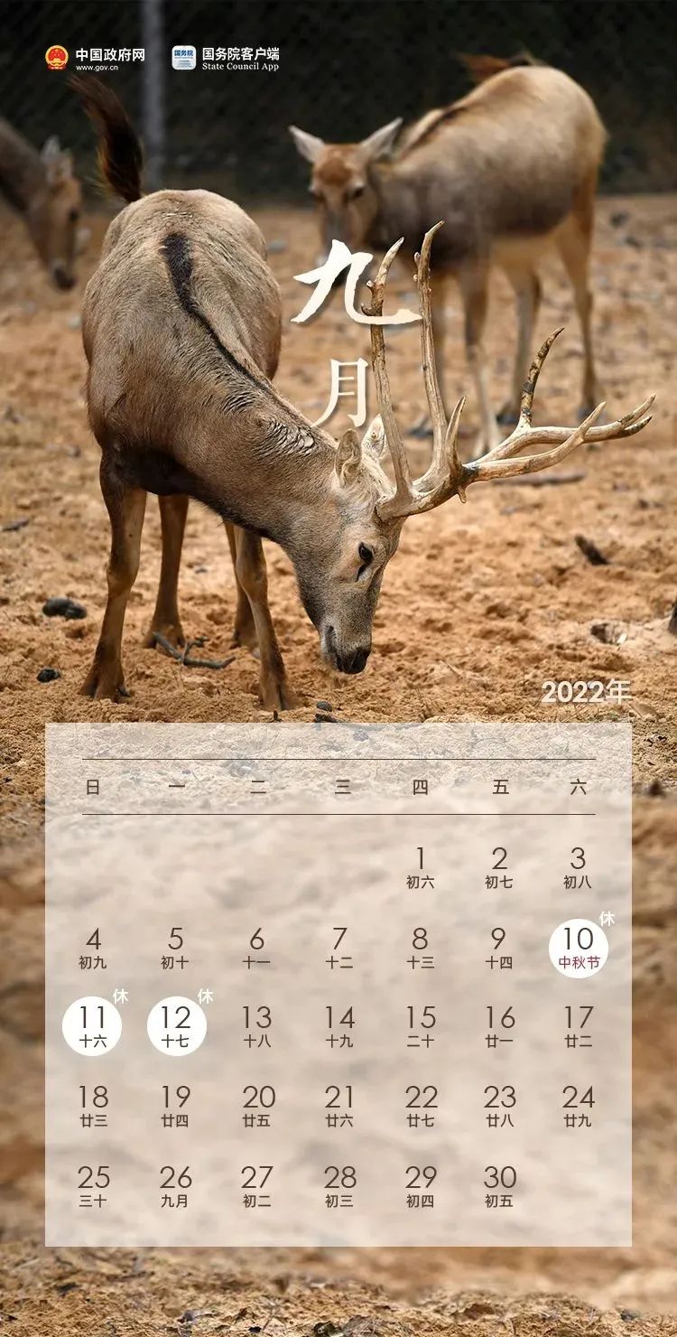 重要提醒：不免費(fèi)！