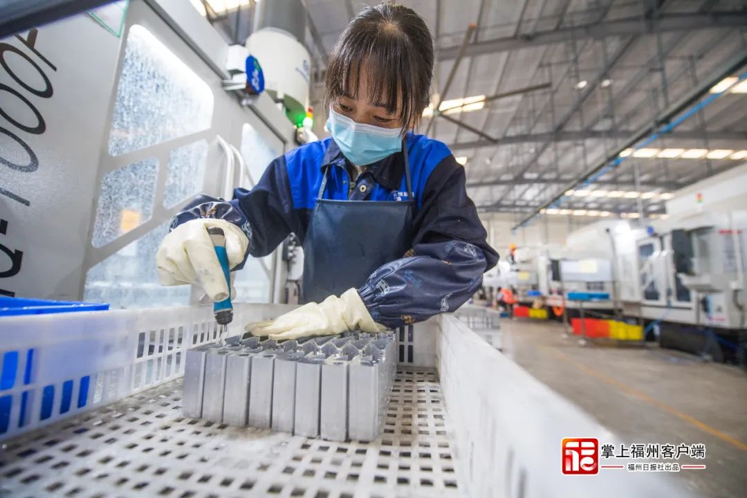 深學爭優(yōu) 敢為爭先 實干爭效丨專訪羅源縣委書記張新懌