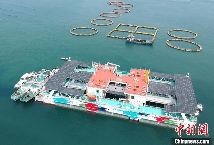 （高質(zhì)量發(fā)展調(diào)研行）向海圖強 福建繪就“掘金”深藍新篇章