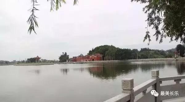 文嶺鎮(zhèn)：加快高質(zhì)量發(fā)展為濱海新城臨空經(jīng)濟(jì)區(qū)建設(shè)添磚加瓦！