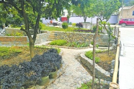 【鄉(xiāng)村振興在行動(dòng)】長(zhǎng)樂：房前屋后建菜園花圃 為鄉(xiāng)村振興 “增色 ” 