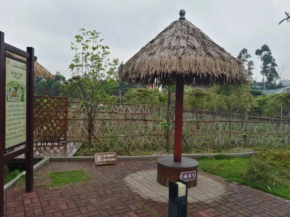 【鄉(xiāng)村振興在行動(dòng)】長(zhǎng)樂：房前屋后建菜園花圃 為鄉(xiāng)村振興 “增色 ” 