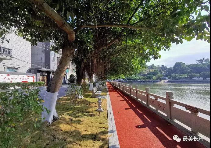 黨建引領，鄉(xiāng)賢出力！長樂古槐鎮(zhèn)嶼北村“破繭成蝶”！