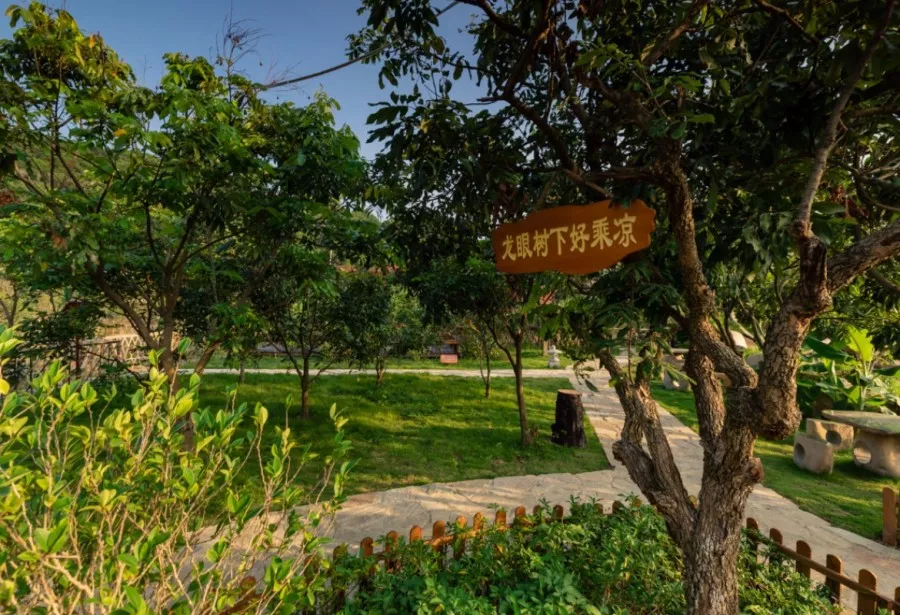 【美麗長(zhǎng)樂(lè)大行動(dòng)】鄉(xiāng)村變化大，行動(dòng)不止步！