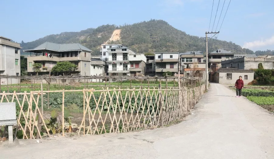 【美麗長(zhǎng)樂(lè)大行動(dòng)】鄉(xiāng)村變化大，行動(dòng)不止步！