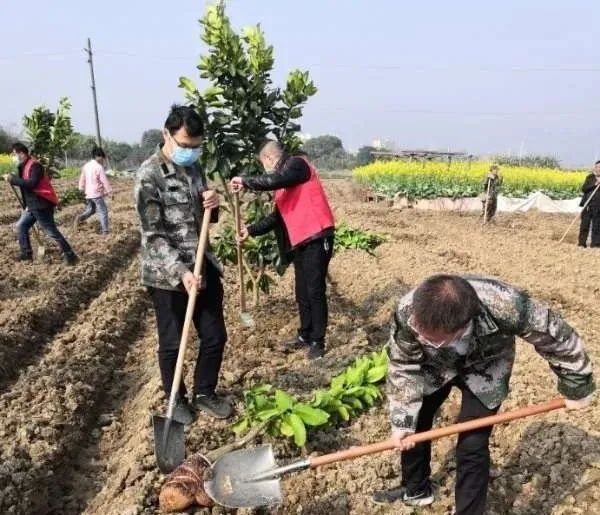 首占鎮(zhèn)：植樹不耽擱 防疫不松勁