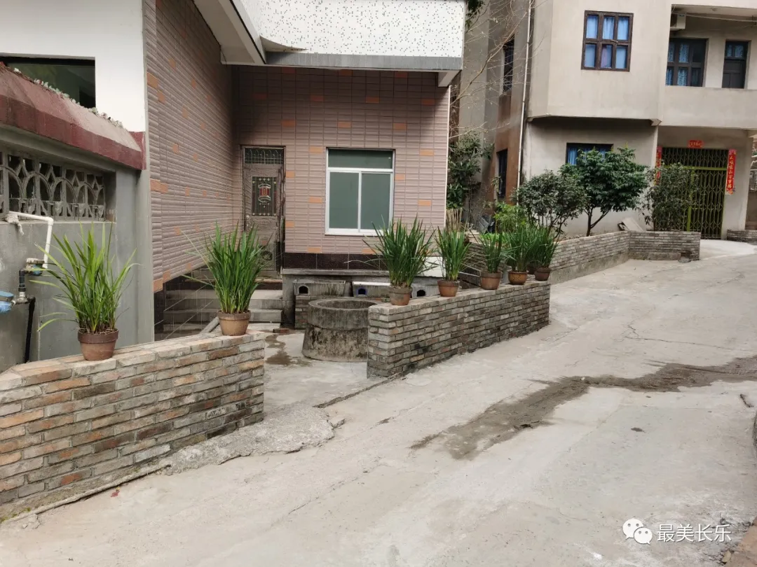 營(yíng)前街道：鄉(xiāng)村不變樣 行動(dòng)不止步