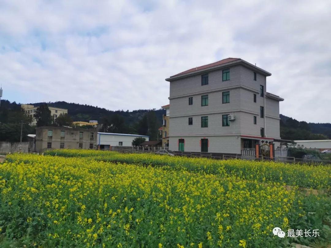 尋跡沿海小鎮(zhèn)，看梅城美麗“變身”！