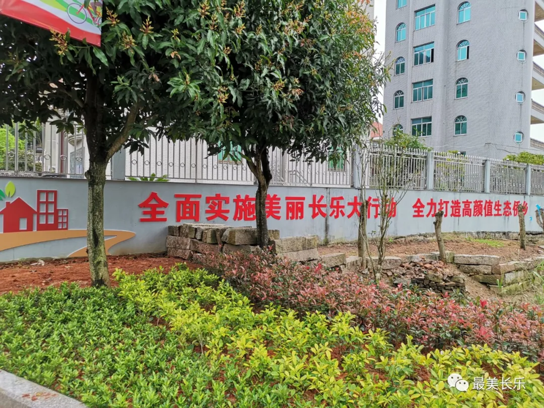 這一項“實事” ，讓浮岐村面貌煥然一新！