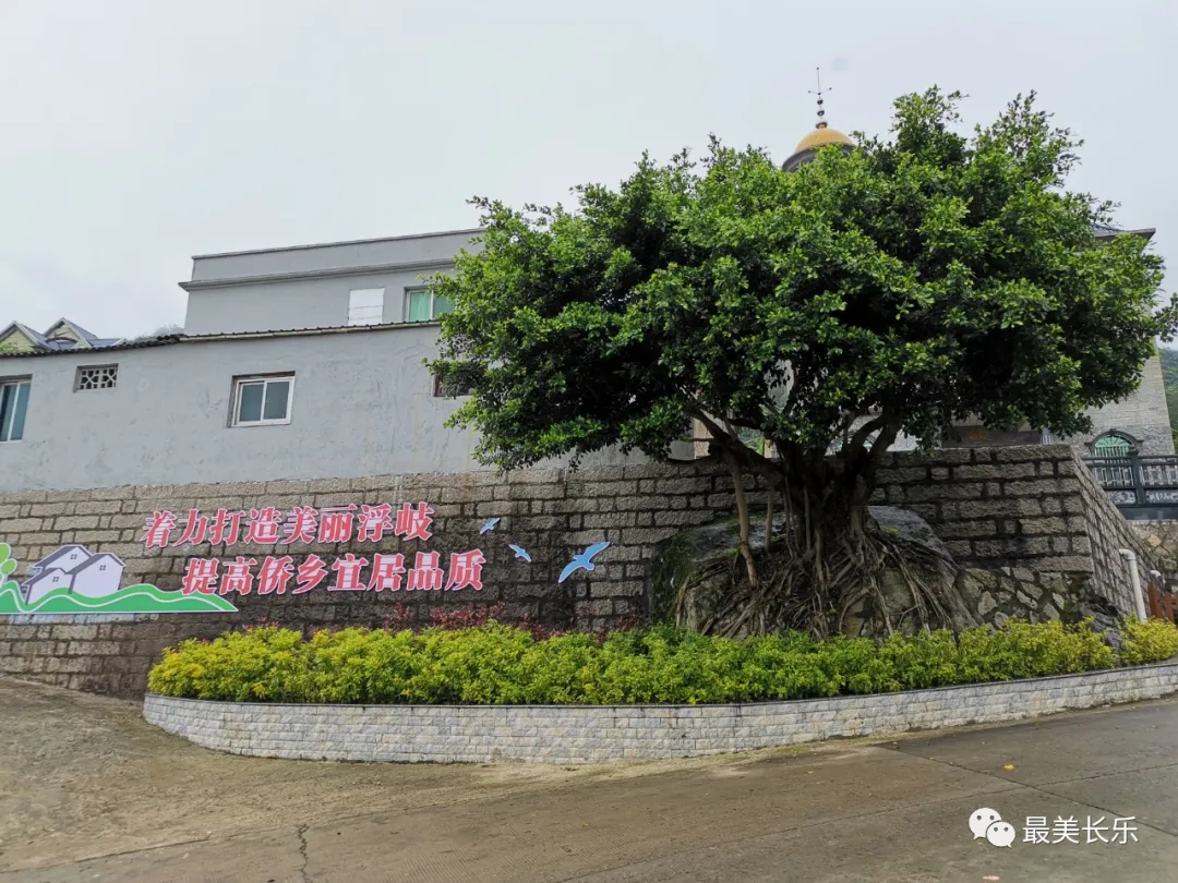 這一項“實事” ，讓浮岐村面貌煥然一新！