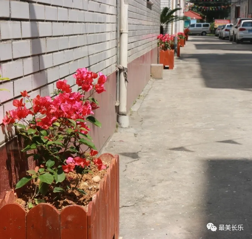 西關村：干部群眾齊協(xié)力 人居環(huán)境展新顏