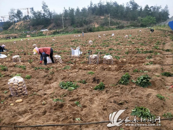 拔釘子！文嶺鎮(zhèn)3天2夜迅速突破，完成4個(gè)項(xiàng)目征遷交地！