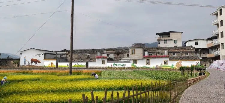 點贊！長樂這項工作經(jīng)驗被全市推廣！