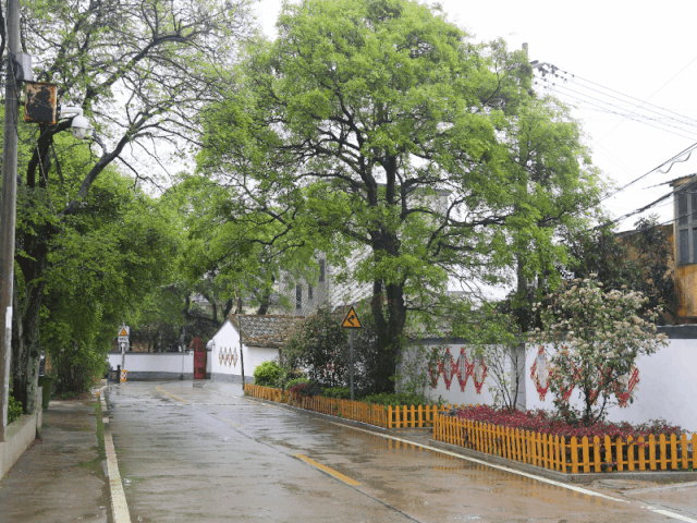 文武砂鎮(zhèn)東海村：從“濱海漁村”到“東湖明珠”