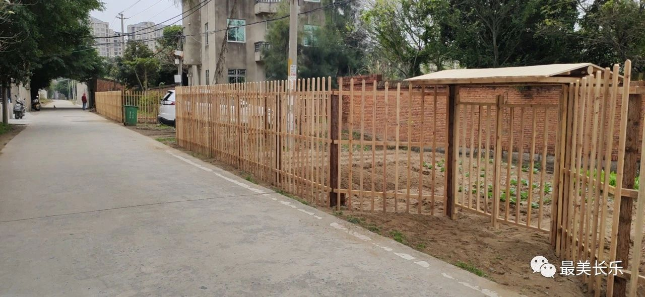 路頂村面貌煥然一新，他們做了這些事……