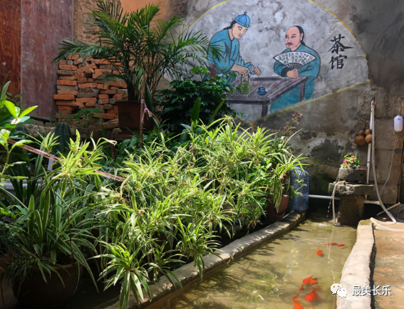 西宅村：一方天地，靜享庭院時光